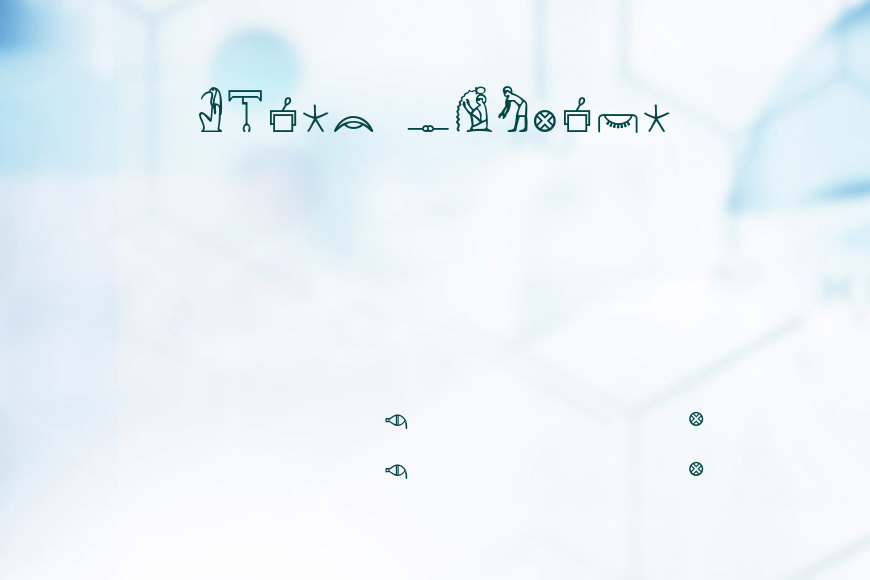 KingTut效果图