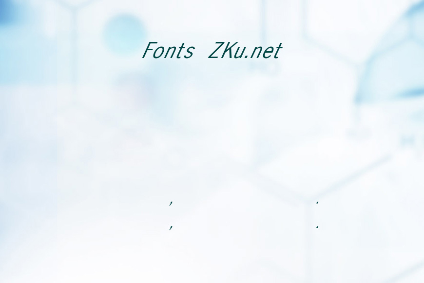 FZ BASIC 24 ITALIC效果图