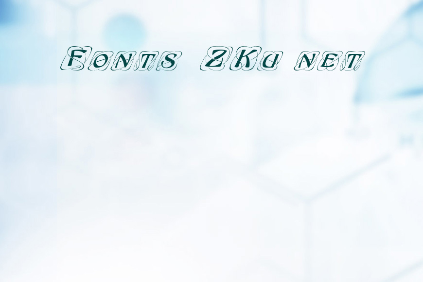 FZ BORDERS 11 ITALIC效果图