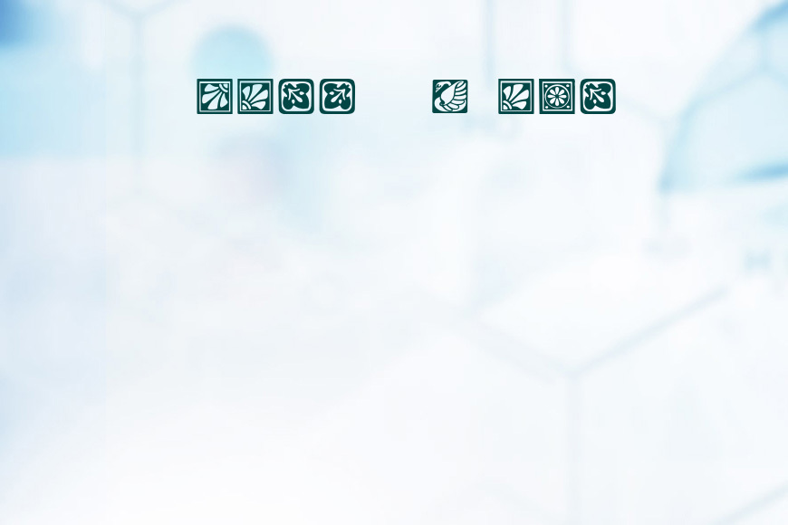 Square Ornaments效果图