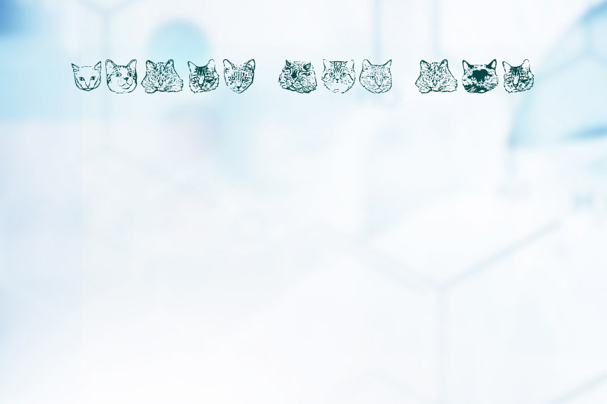 KittyPrint效果图