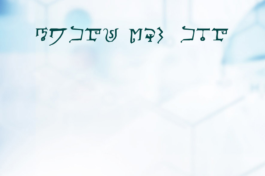 Alphabet-of-the-Magi效果图
