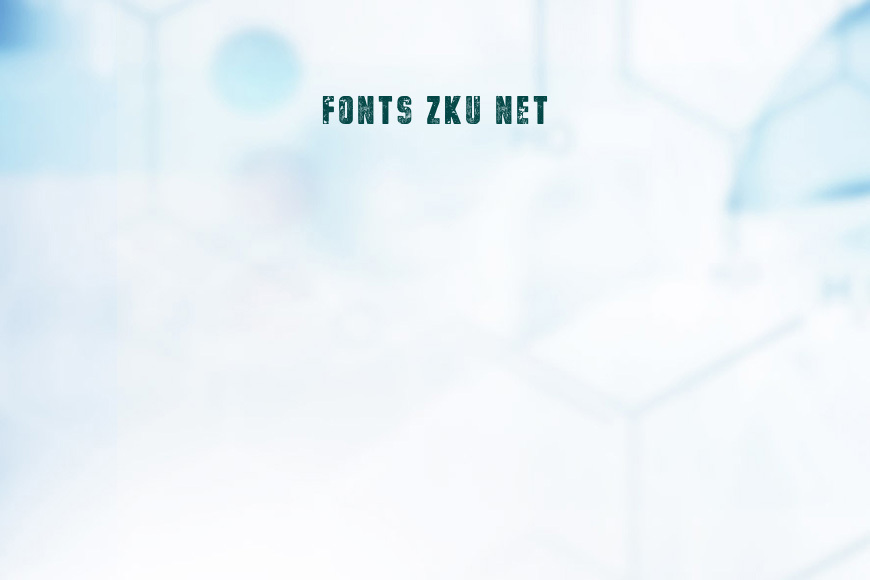 vtks poster效果图