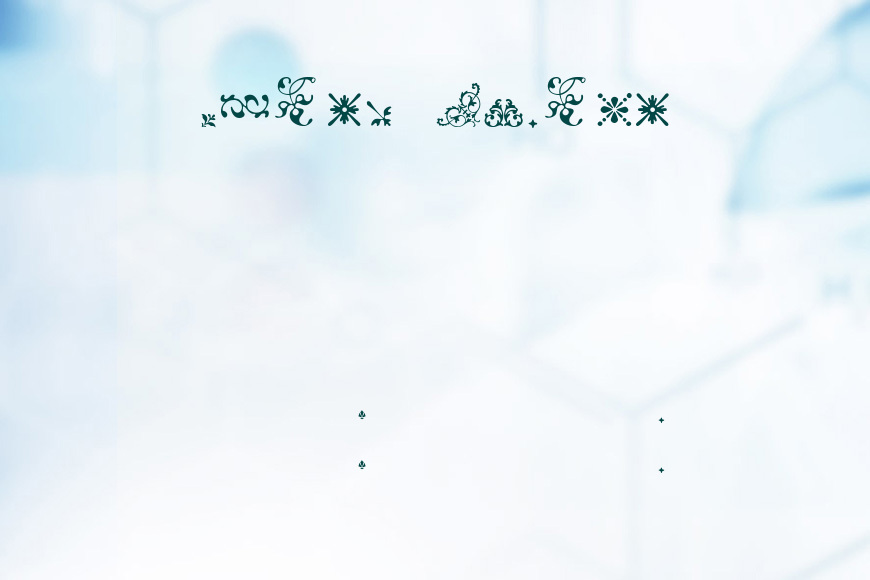 Fleurons效果图