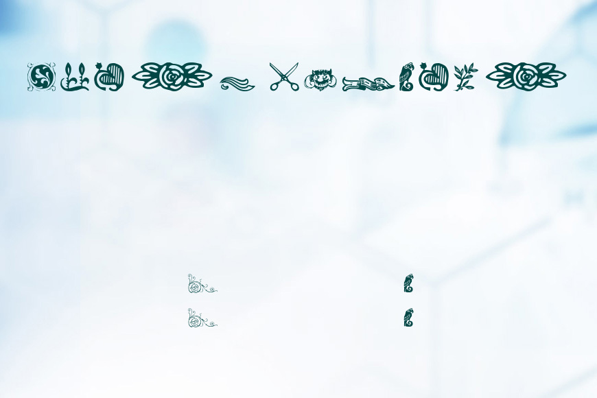 DavysDingbats效果图