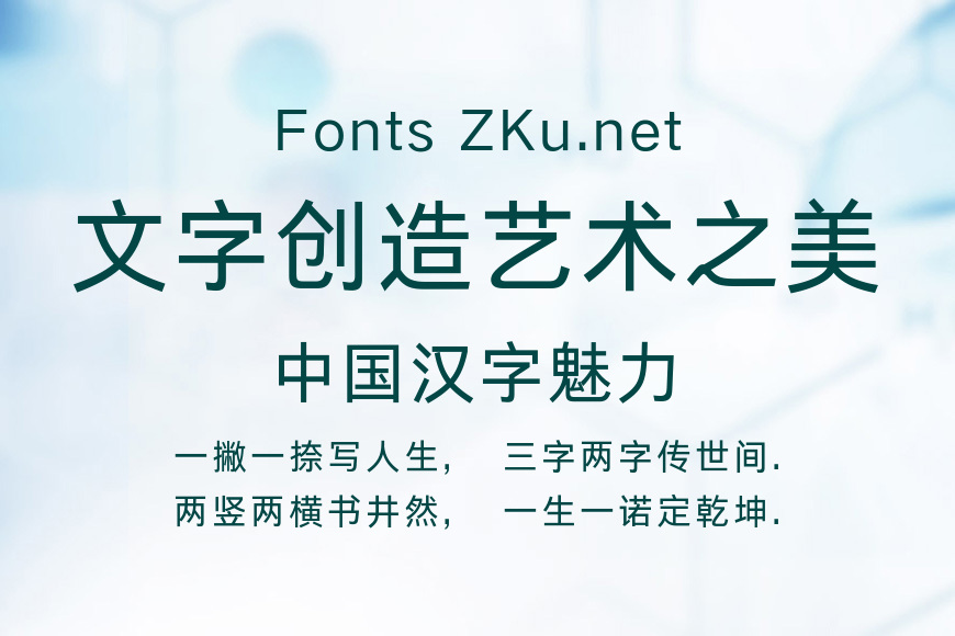 点字典黑 55J效果图