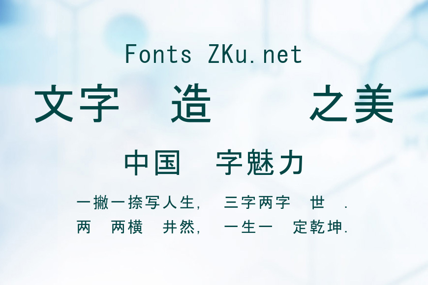 真宗圣典黑体效果图