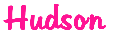 Hudson预览图片