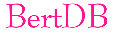 BertDB预览图片