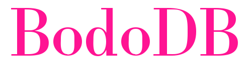BodoDB预览图片