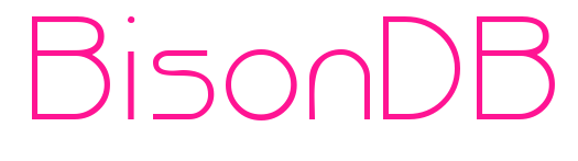 BisonDB预览图片