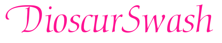 DioscurSwash预览图片