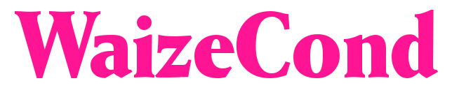WaizeCond预览图片