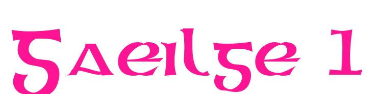 Gaeilge 1预览图片