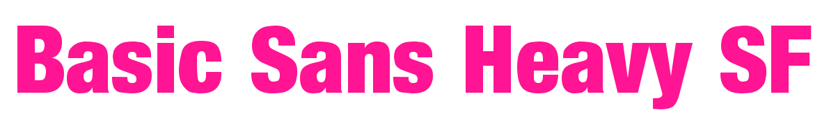 Basic Sans Heavy SF预览图片