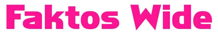 Faktos Wide预览图片