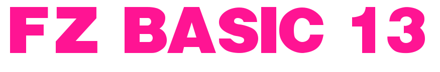 FZ BASIC 13