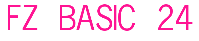 FZ BASIC 24预览图片