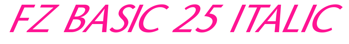 FZ BASIC 25 ITALIC