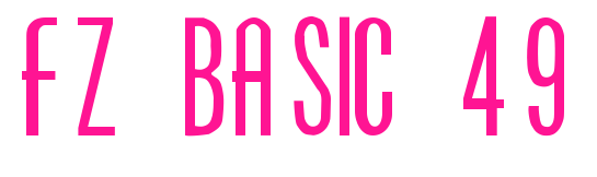 FZ BASIC 49预览图片