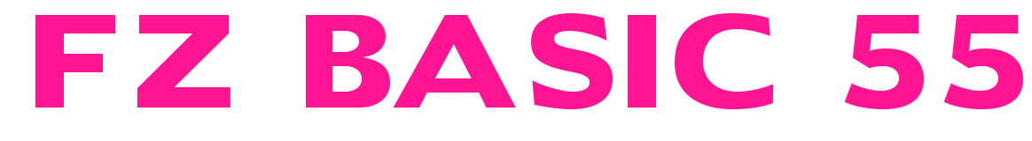 FZ BASIC 55预览图片