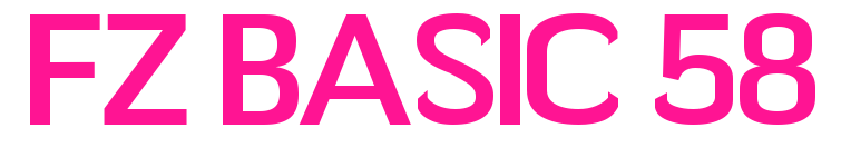 FZ BASIC 58预览图片
