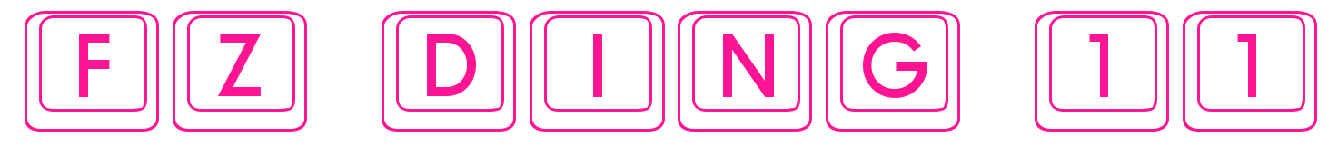 FZ DING 11