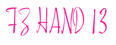 FZ HAND 13预览图片