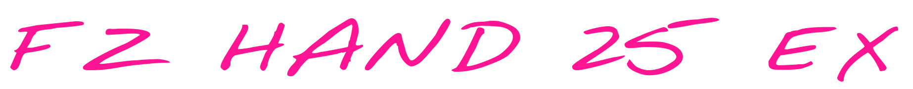 FZ HAND 25 EX