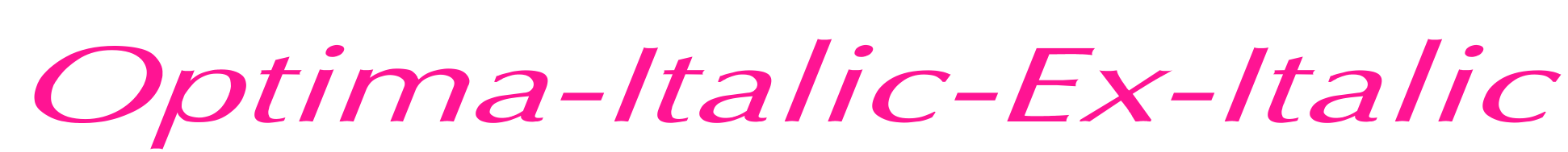 Optima-Italic-Ex-Italic预览图片