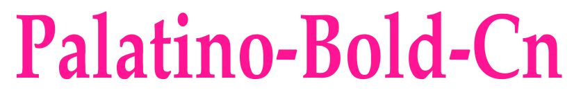 Palatino-Bold-Cn预览图片
