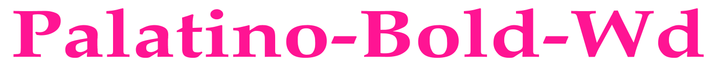 Palatino-Bold-Wd