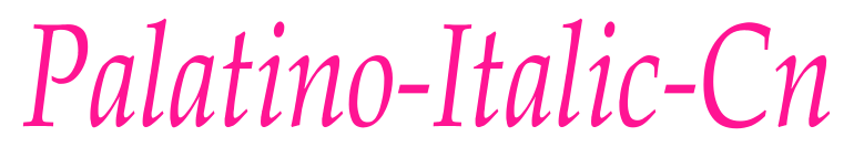 Palatino-Italic-Cn预览图片