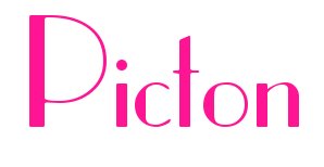 Picton预览图片