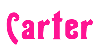 Carter预览图片