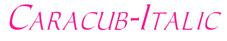 Caracub-Italic预览图片