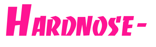 Hardnose-预览图片