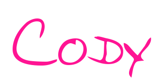 Cody预览图片