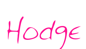 Hodge预览图片