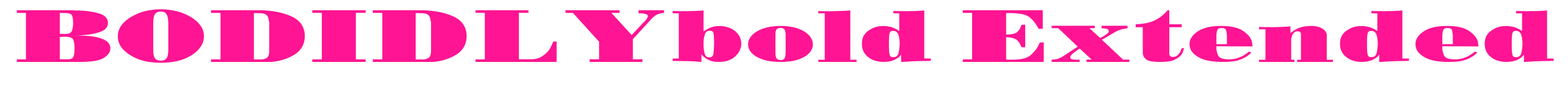 BODIDLYbold Extended预览图片
