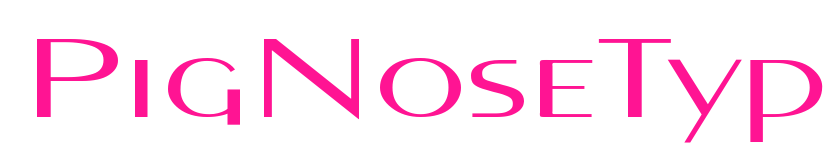 PigNoseTyp预览图片