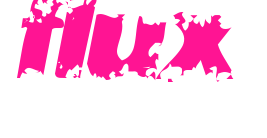 flux预览图片