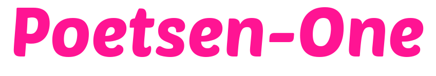 Poetsen-One预览图片
