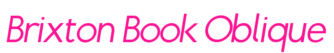 Brixton Book Oblique预览图片