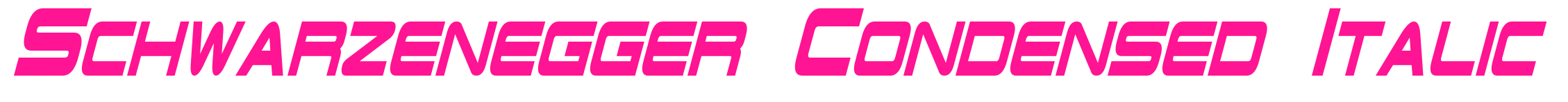 Schwarzenegger Condensed Italic预览图片
