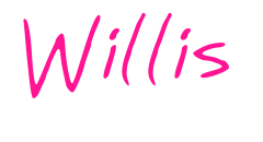 Willis预览图片