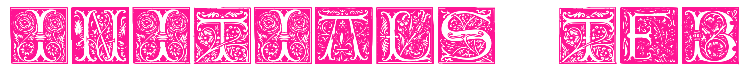Initials TFB预览图片