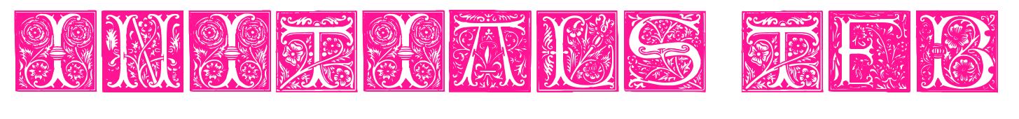 Initials-TFB预览图片