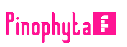 Pinophyta_预览图片