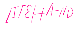 LiteHand预览图片